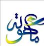 تور تفریحی ، بلیت تک نجف رفت وبرگشت ( ویژه اربعین ...
