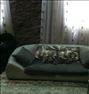 کاناپه راحتی در حد نو
