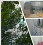 فروش خانه ، آپارتمان یک خواب خوش نقشه