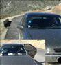 فروش خودرو ، زانتیا مدل ۸۵