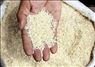 فروش برنج درجه هاشمی الموت