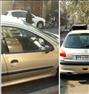 فروش خودرو ، ۲۰۶مدل۸۷بی رنگ