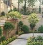 باغبانی  ، طراحی و اجرای تخصصی فضای سبز