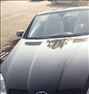 Slk 200کروک