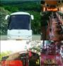 باربری  ، سرویس دربستی با اتوبوس vip اسکانیاسرویس دربستی با اتوبوس vip اسکانیا
