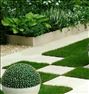 باغبانی و ایجاد فضای سبز