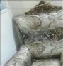 صندلی راحتی ، مبل هفت نفره