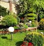 باغ گل دهقانی طراحی و اجرای فضای سبز