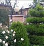 باغبانی  ، خدمات گل وگیاه ودرختان سایزبالا