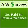 Paid Website Evaluations