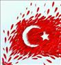 آموزش  ، آموزش زبان ترکی استانبولی