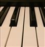 تدریس خصوصی پیانو و ارگ