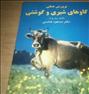 کتاب و مجله  ، پرورش عملی گاوهای شیری و گوشتی